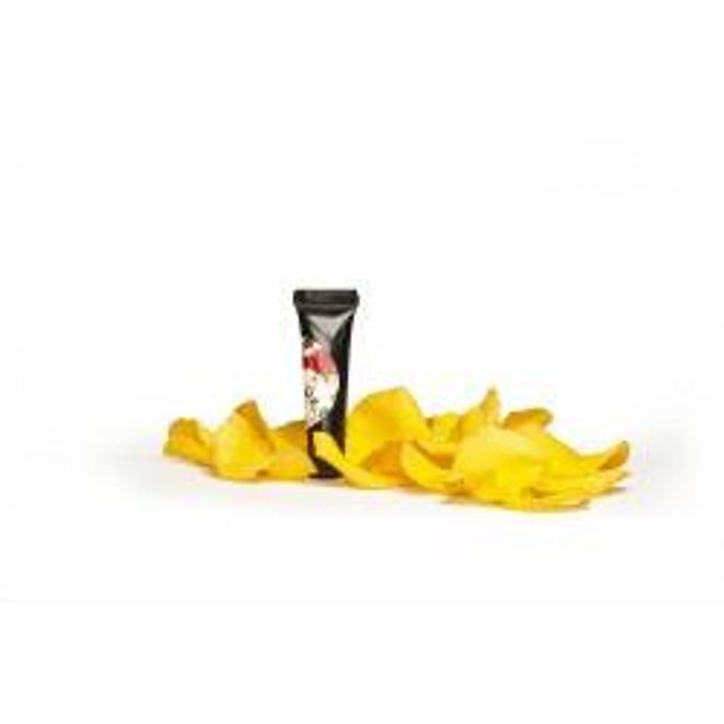 Hovedbilde Arter Paint Yellow 5G